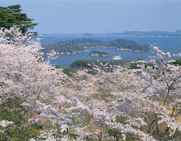 【東京駅_鍛冶橋駐車場発】 《神社仏閣》桜舞う! みちのく古寺巡礼 四寺廻廊 ~世界遺産 中尊寺・毛越寺・瑞巌寺・立石寺~(3日間)1